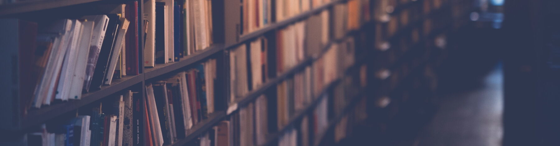 Mediathek zu Achtsamkeit ᐅ MBSR zum Lesen und Zuhören • Presseberichte • Literaturvorschläge • Audiodateien ✓ Jetzt CFM Mediathek entdecken.